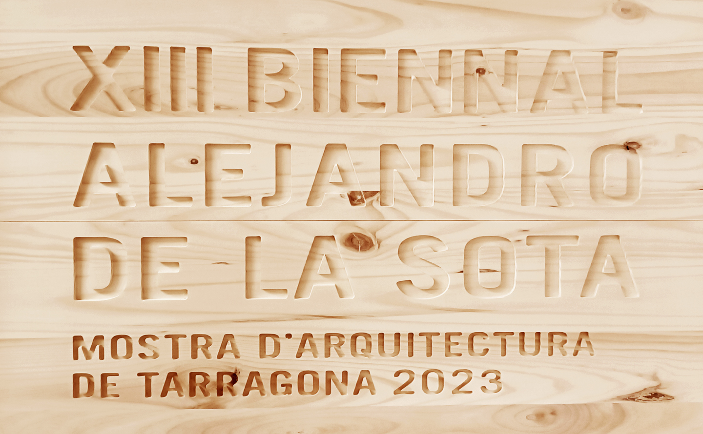 Cartell exposició XIII Biennal Alejandro de la Sota